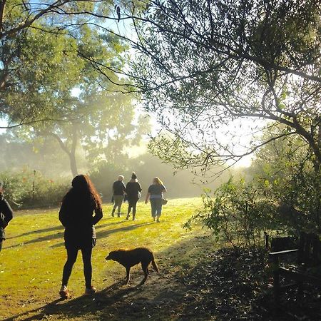 Kurrajong Trails & Cottages Wheeny Creek Eksteriør bilde