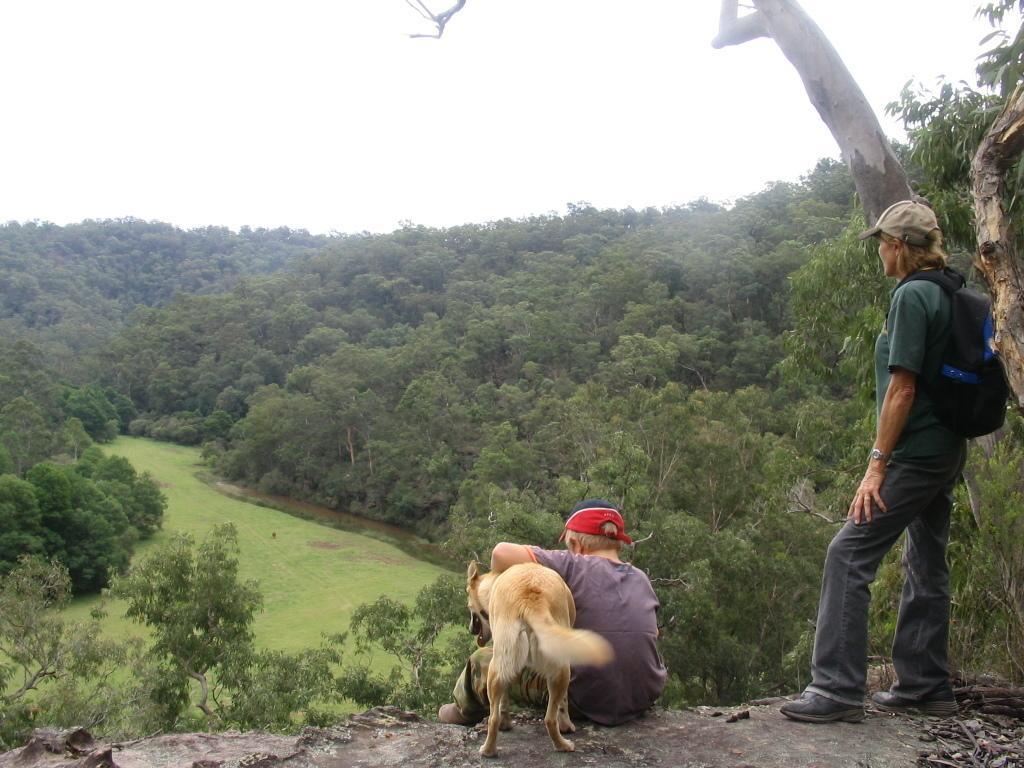 Kurrajong Trails & Cottages Wheeny Creek Eksteriør bilde