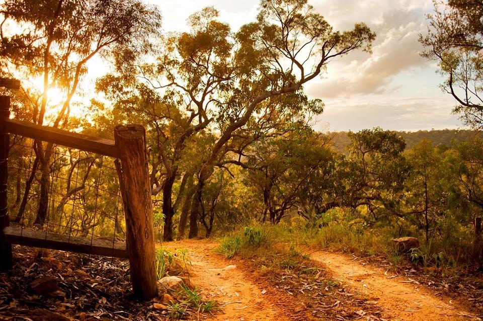 Kurrajong Trails & Cottages Wheeny Creek Eksteriør bilde