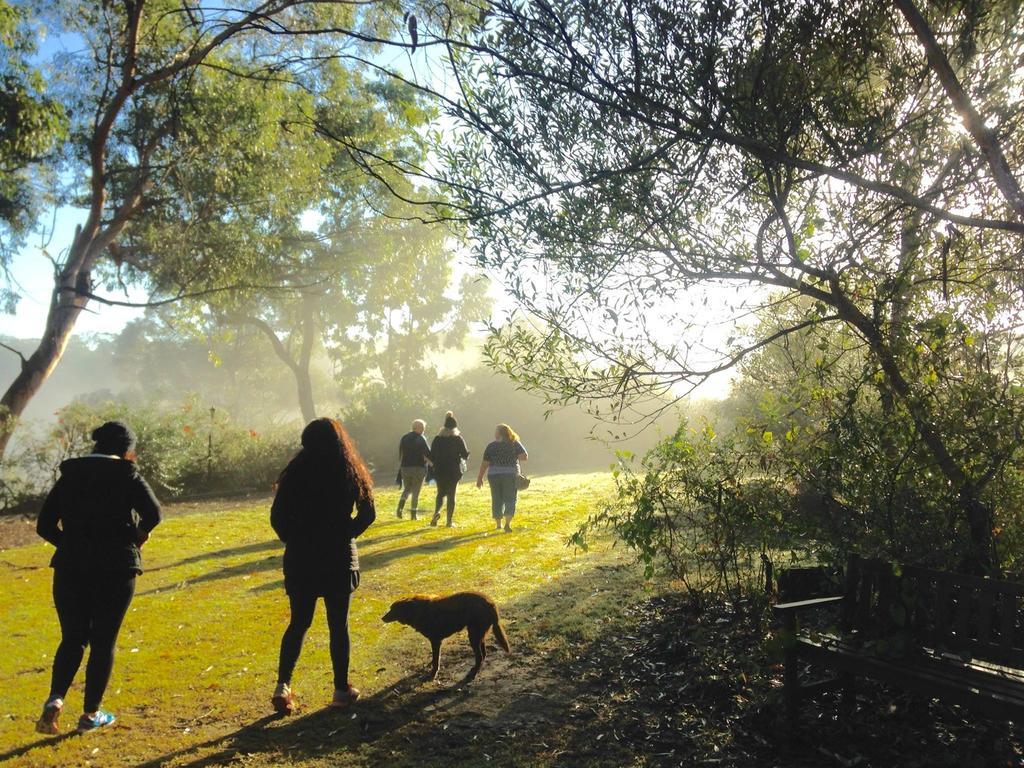 Kurrajong Trails & Cottages Wheeny Creek Eksteriør bilde