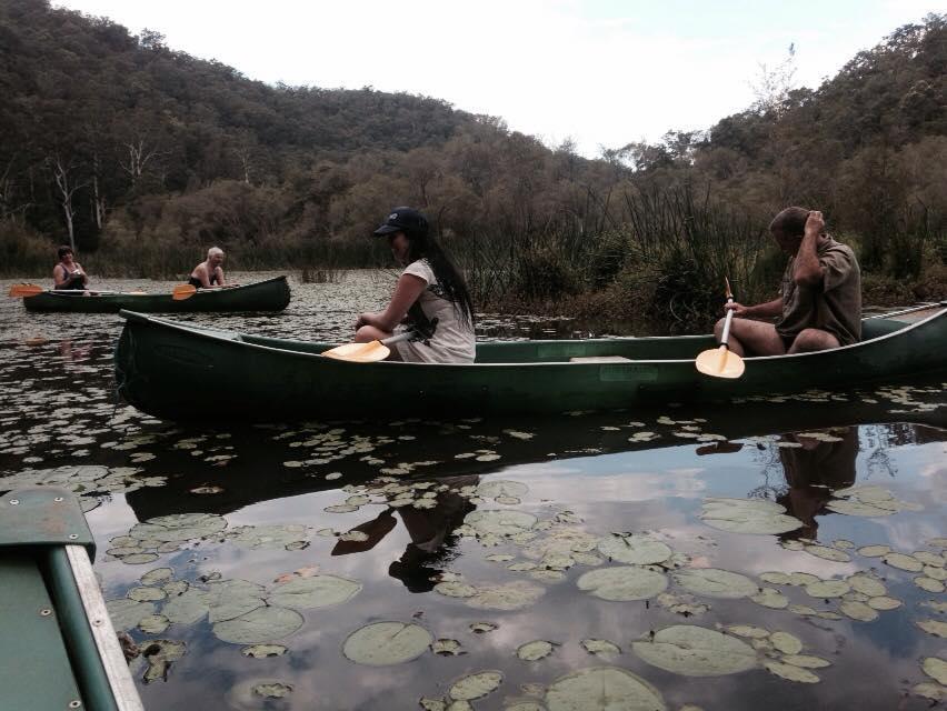 Kurrajong Trails & Cottages Wheeny Creek Eksteriør bilde