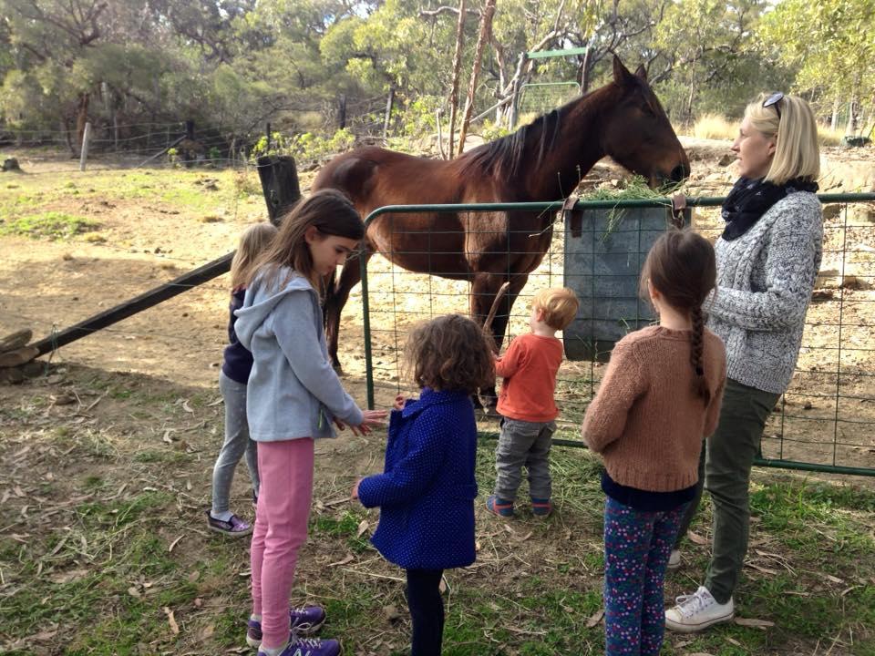 Kurrajong Trails & Cottages Wheeny Creek Eksteriør bilde