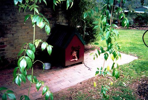 Kurrajong Trails & Cottages Wheeny Creek Eksteriør bilde